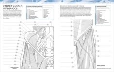 Alternative view 3 of Atlas de anatomía para colorear (The Human Body Coloring Book): Guía de estudio