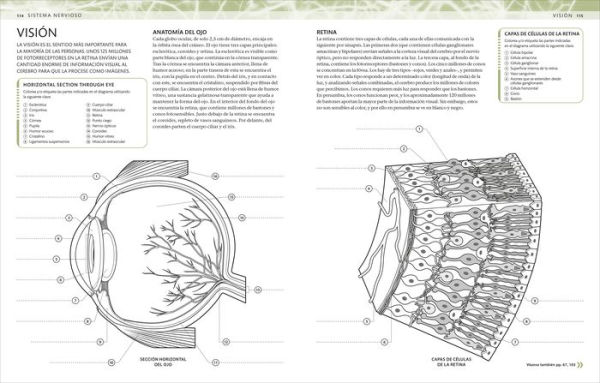 Atlas de anatomía para colorear (The Human Body Coloring Book): Guía de estudio