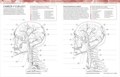 Alternative view 6 of Atlas de anatomía para colorear (The Human Body Coloring Book): Guía de estudio