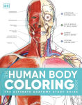 Anatomy