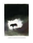 Alternative view 2 of White Fang